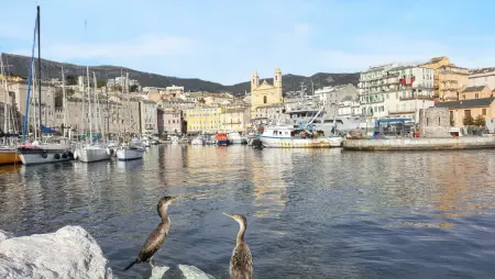 Appartement spacieux à Bastia avec vue mer et montagne. - Photo 26