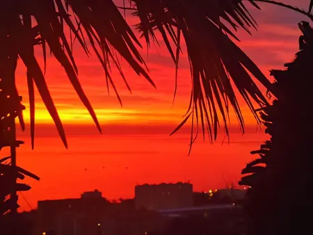 Appartement spacieux à Bastia avec vue mer et montagne. - Photo 31
