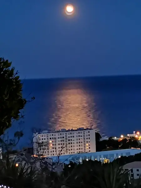 Appartement spacieux à Bastia avec vue mer et montagne. - Photo 32