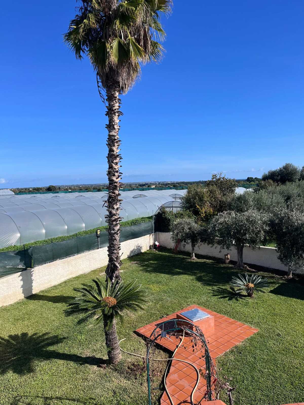 Maison 5 pers. avec jardin clos et barbecue à Fontane Bianche - Photo 40