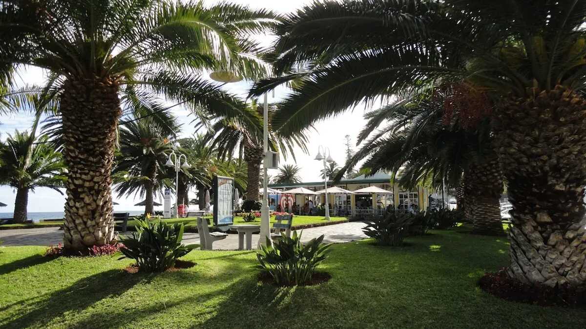 Maison 269 m² à Santa Cruz, jardin clôturé et vue mer - Photo 87