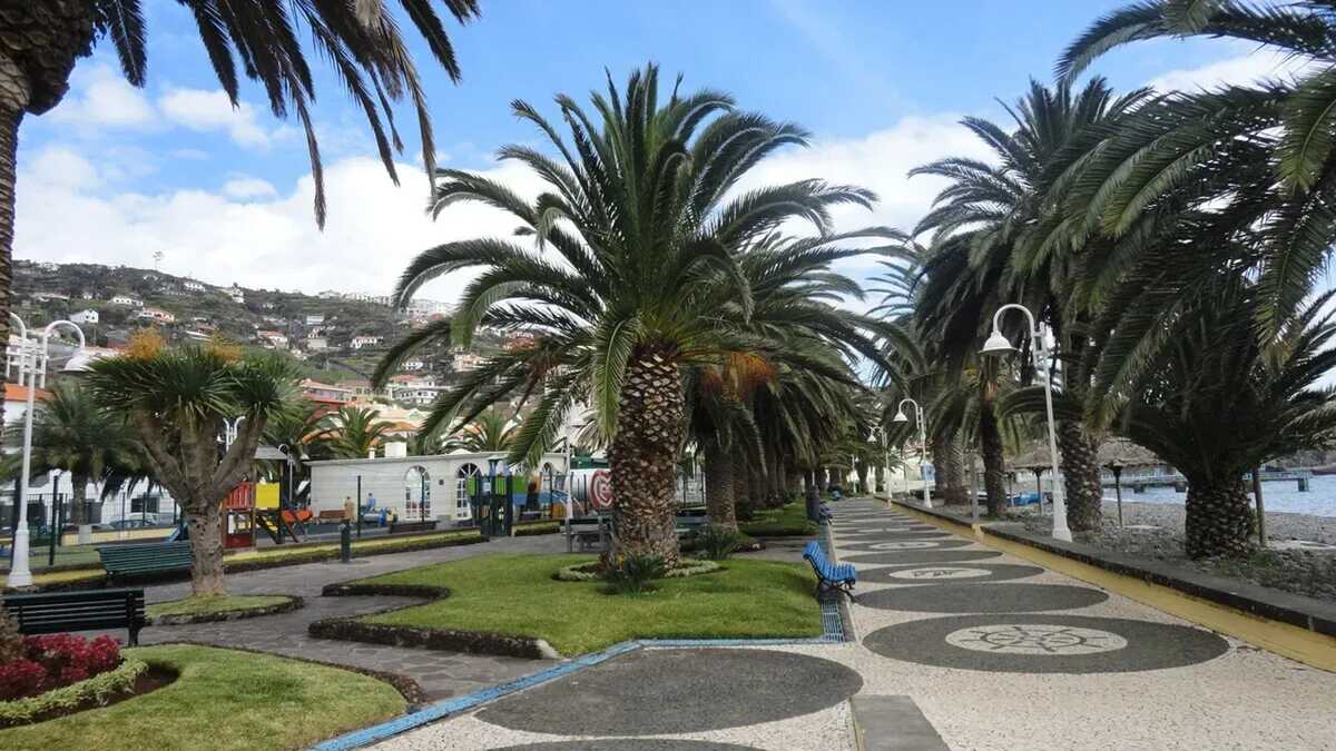 Maison 269 m² à Santa Cruz, jardin clôturé et vue mer - Photo 88
