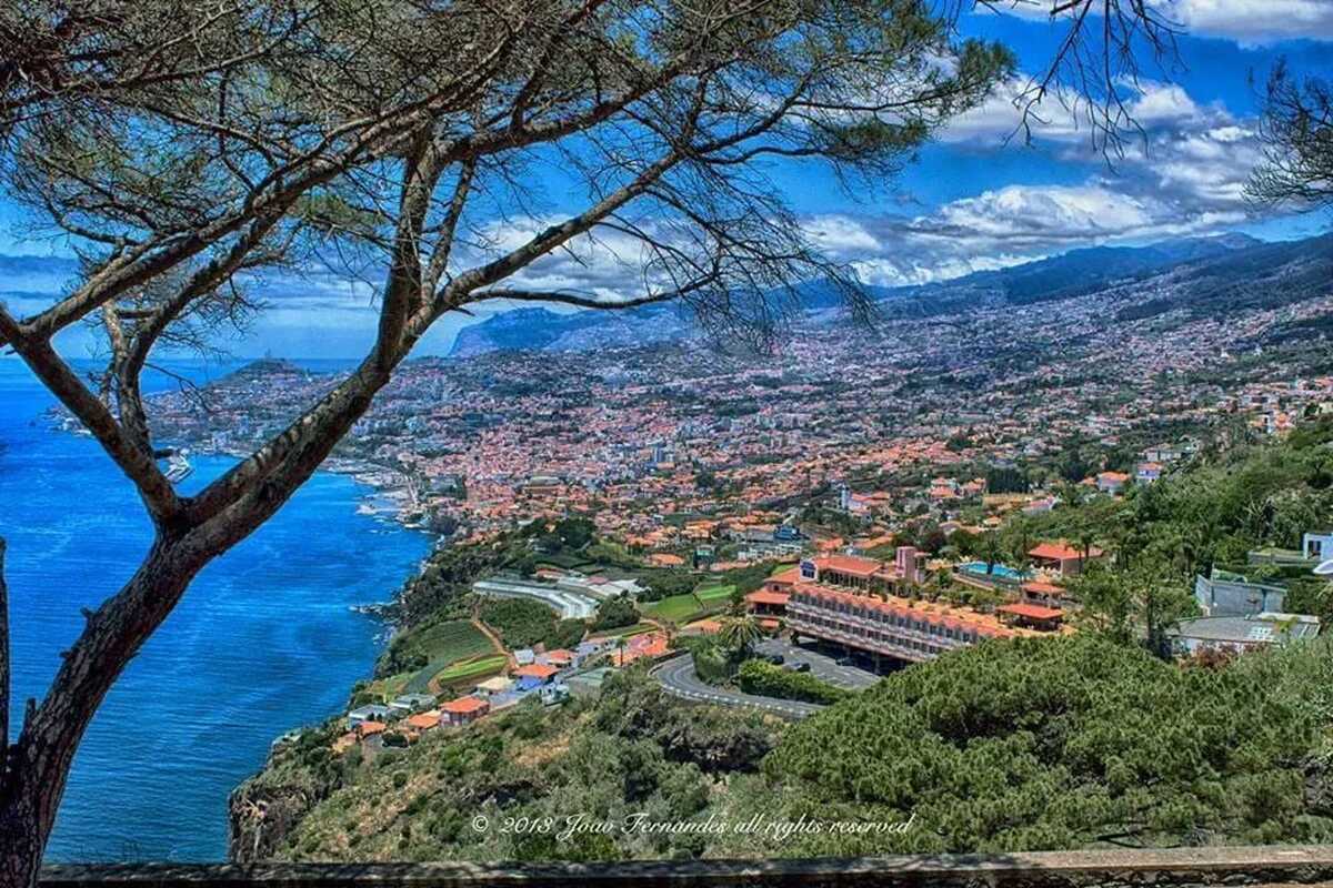 Maison 269 m² à Santa Cruz, jardin clôturé et vue mer - Photo 100