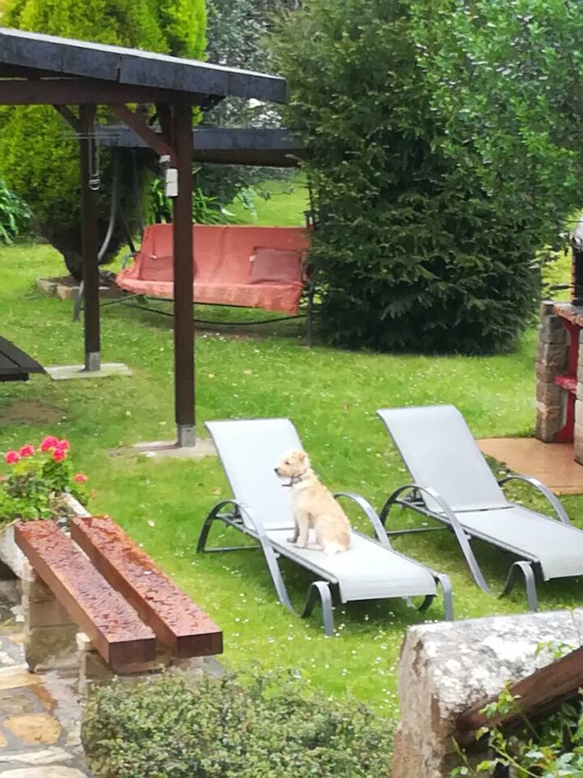 Chalet 4 pers. avec cheminée et terrasse à Oreña - Photo 21