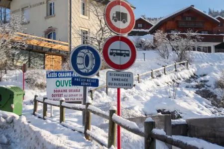 Studio 30 m² avec vue lac et terrasse à Gérardmer : photo 17
