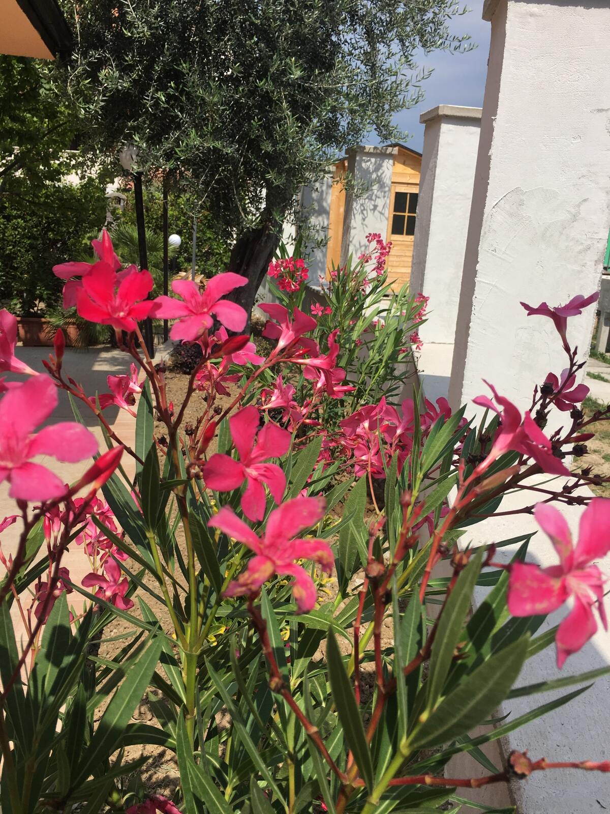 Maison 55m² à Chieti avec jardin privé et terrasse - Photo 26