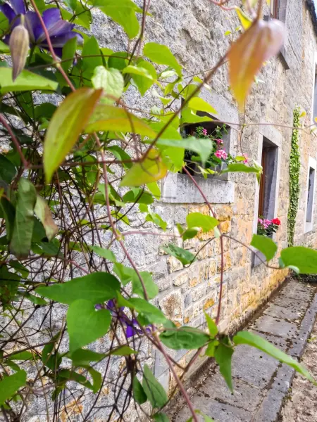 Maison avec jardin clos et cheminée à Scy, Hamois : photo 26