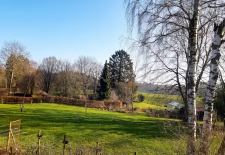 Maison avec jardin clos et cheminée à Scy, Hamois : photo 36