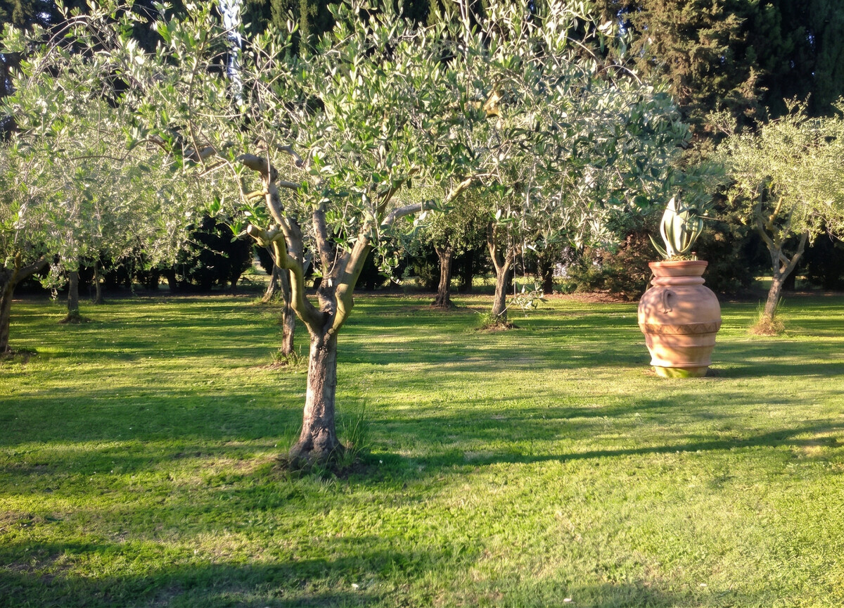 Villa pittoresque à Pise avec terrasse et piscine partagée. - Photo 18