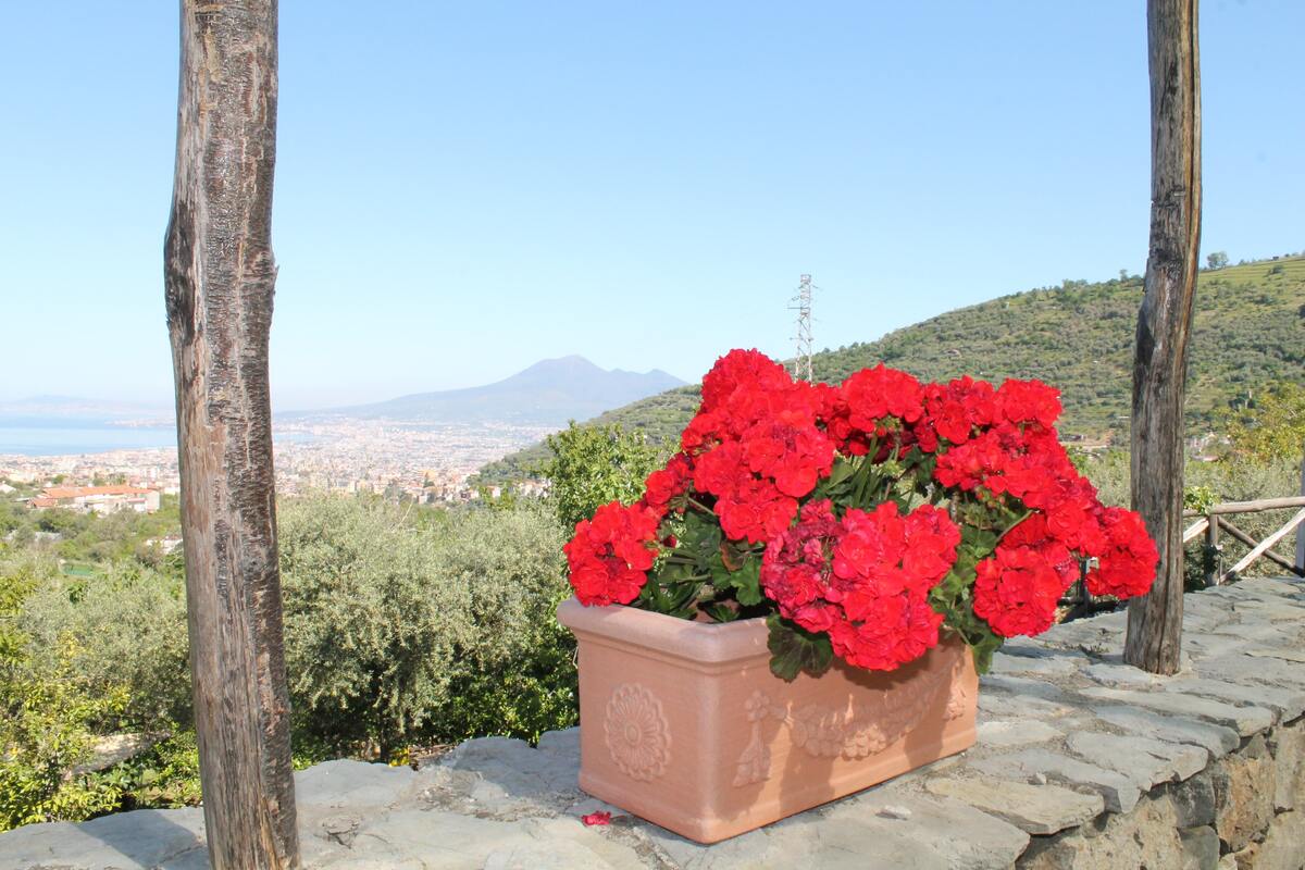 Appartement 45 m² à Gragnano, 2 chambres avec balcon - Photo 27
