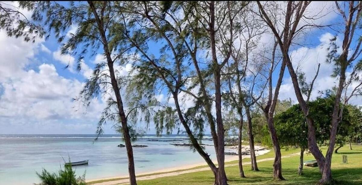 Maison avec piscine partagée et vue mer à Palmar, Maurice - Photo 4
