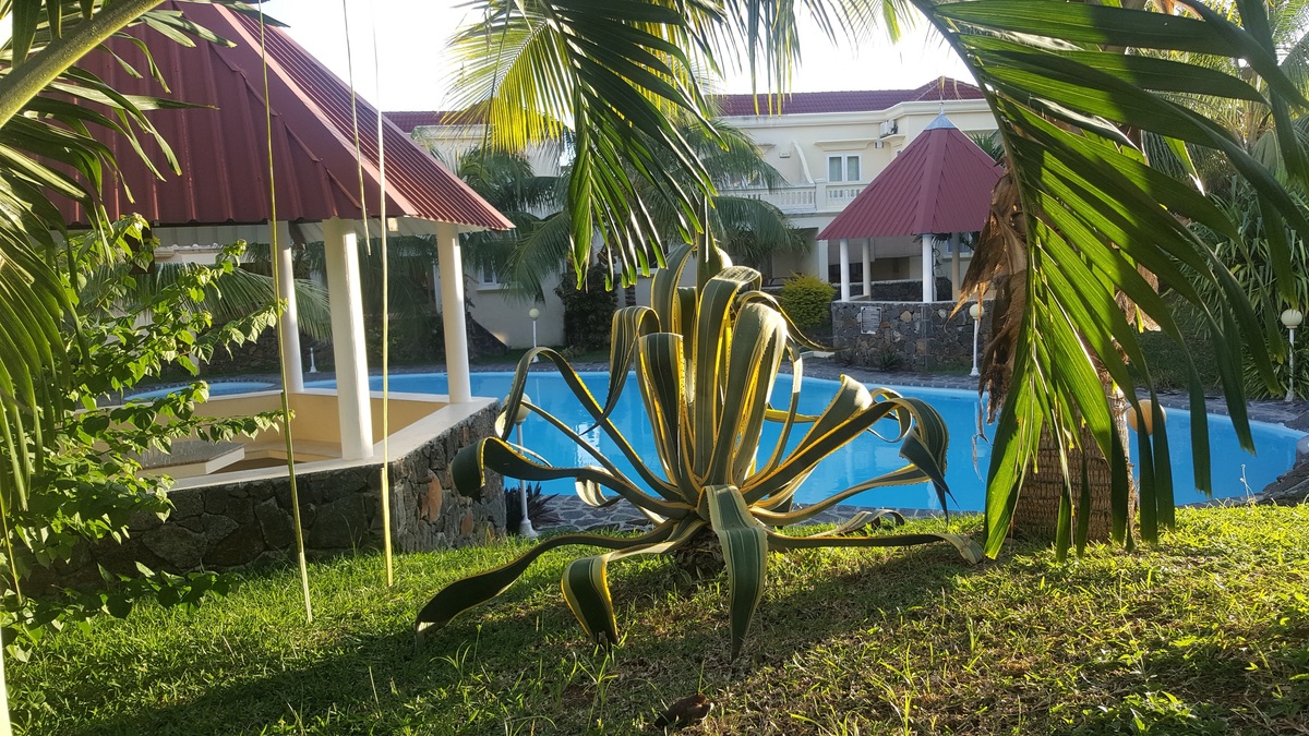 Maison avec piscine partagée et vue mer à Palmar, Maurice - Photo 10