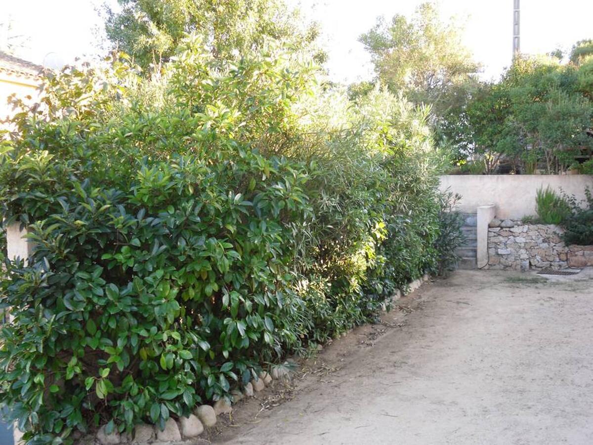 Maison 4 pers. à Porto-Vecchio, terrasse & jardin clos - Photo 10
