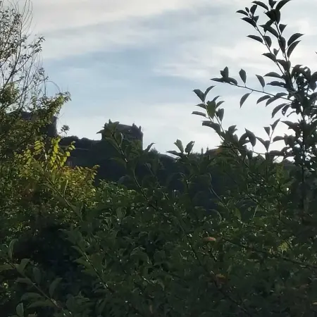Maison de plain-pied avec jardin et terrasse à Saint-Satur : photo 11