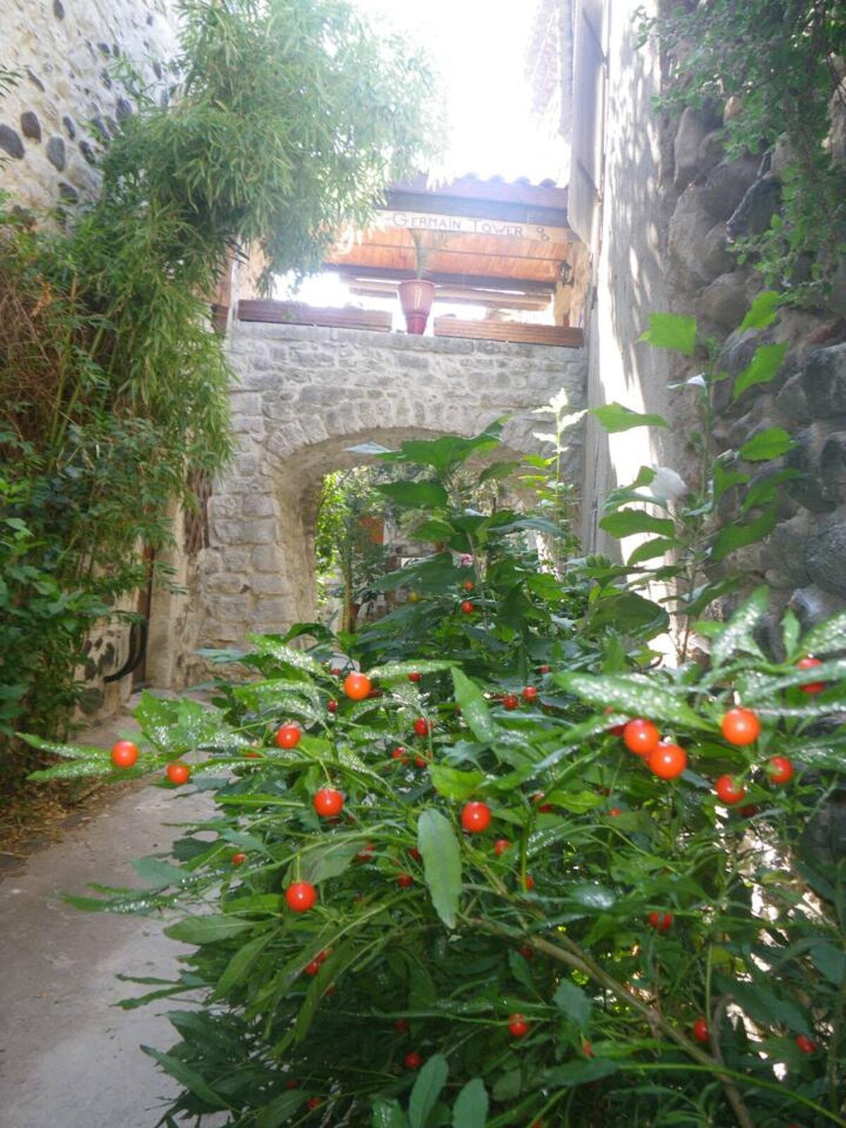 Maison de charme à Saint-Germain avec vue sur la montagne - Photo 1