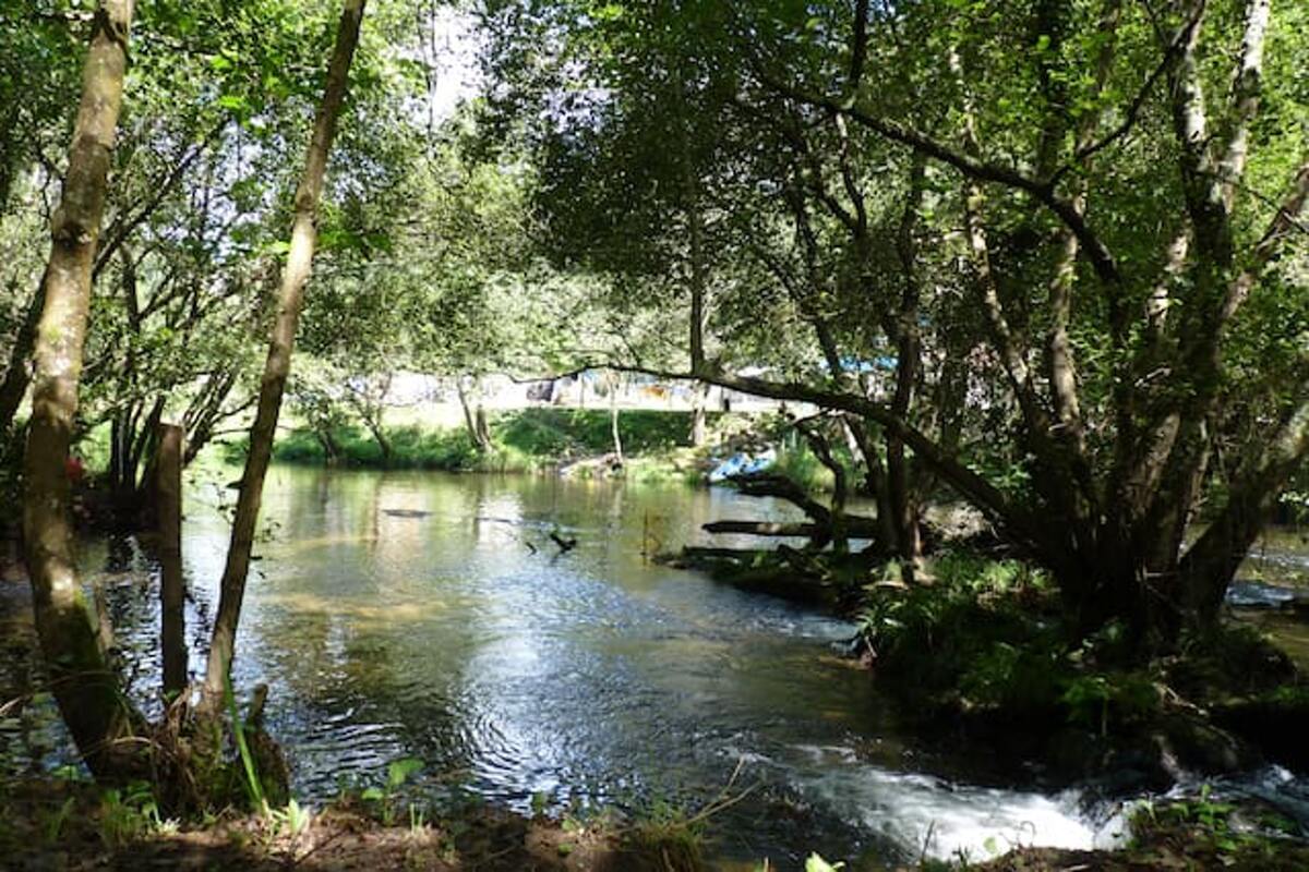 Maison avec vue lac à Castelo do Neiva, 5 pers. - Photo 39