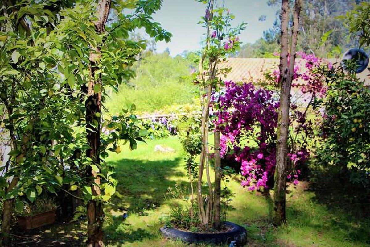 Maison avec vue lac à Castelo do Neiva, 5 pers. - Photo 49