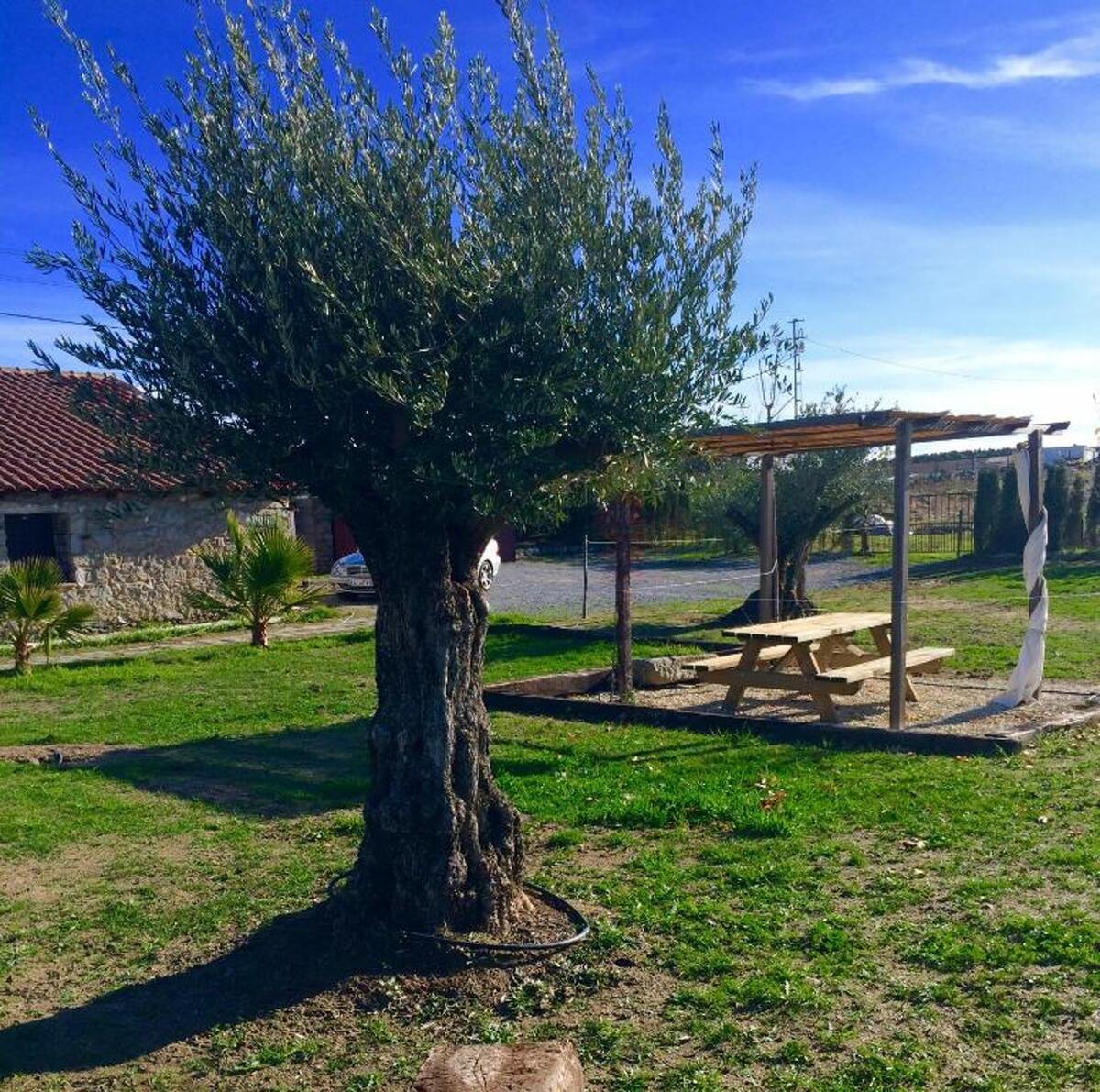 Maison 8 personnes à Alcaracejos, piscine & jardin - Photo 25