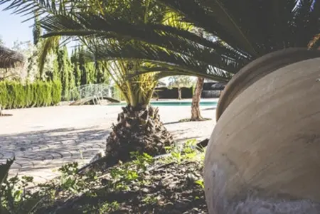 Maison de charme à Estepa, piscine partagée et vue montagne : photo 11