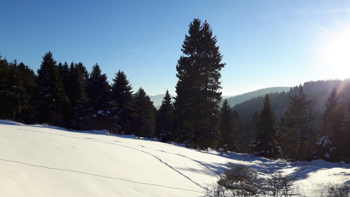 Appartement 75 m² à Soultzeren, vue montagne et terrasse - Photo 28
