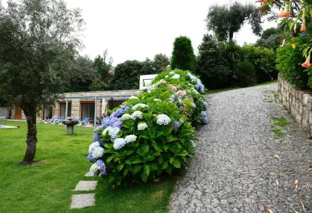 Villa à Caniçada avec piscine privée et vue sur les montagnes : photo 8