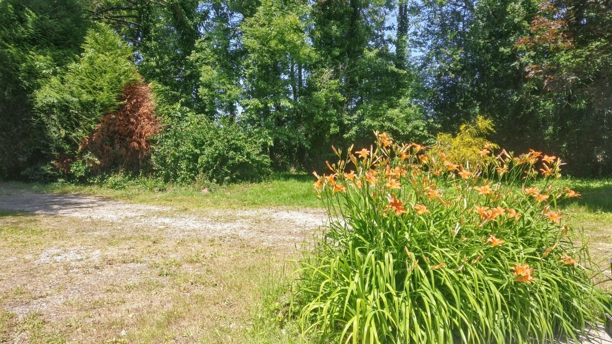 Maison 130 m² à Venansault, 6 personnes, jardin - Photo 13