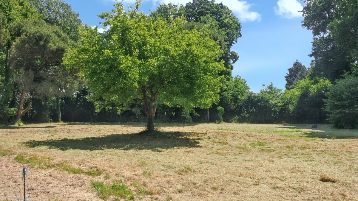 Maison 130 m² à Venansault, 6 personnes, jardin - Photo 15