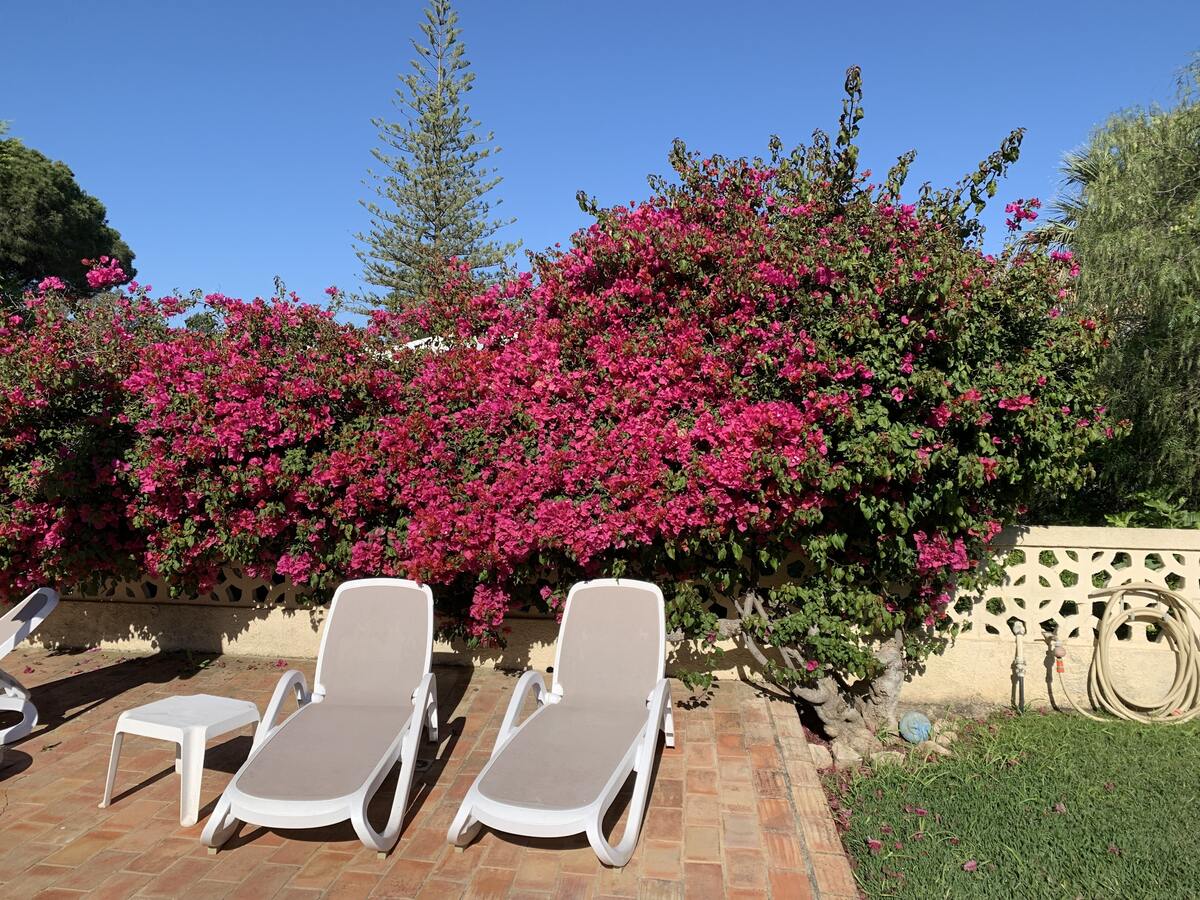Villa familiale à Vilamoura avec piscine privée chauffée - Photo 15
