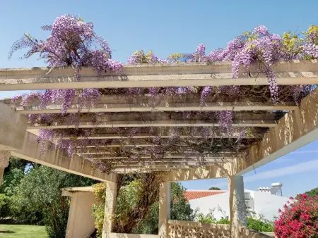 Villa familiale à Vilamoura avec piscine privée chauffée : photo 10