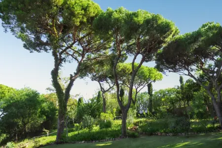 Villa familiale à Vilamoura avec piscine privée chauffée : photo 35