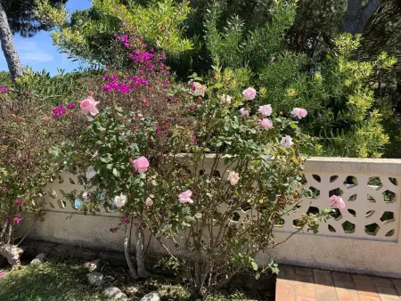 Villa familiale à Vilamoura avec piscine privée chauffée : photo 38