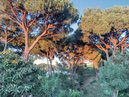 Villa familiale à Vilamoura avec piscine privée chauffée : photo 40