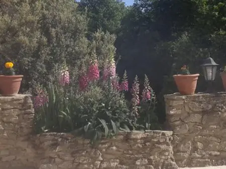 Villa avec piscine privée et vue montagne à Malaucène : photo 29
