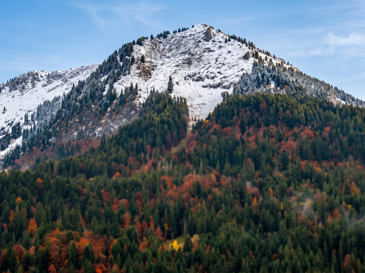 Appartement au pied des pistes à Bernex, vue montagne et balcon - Photo 19