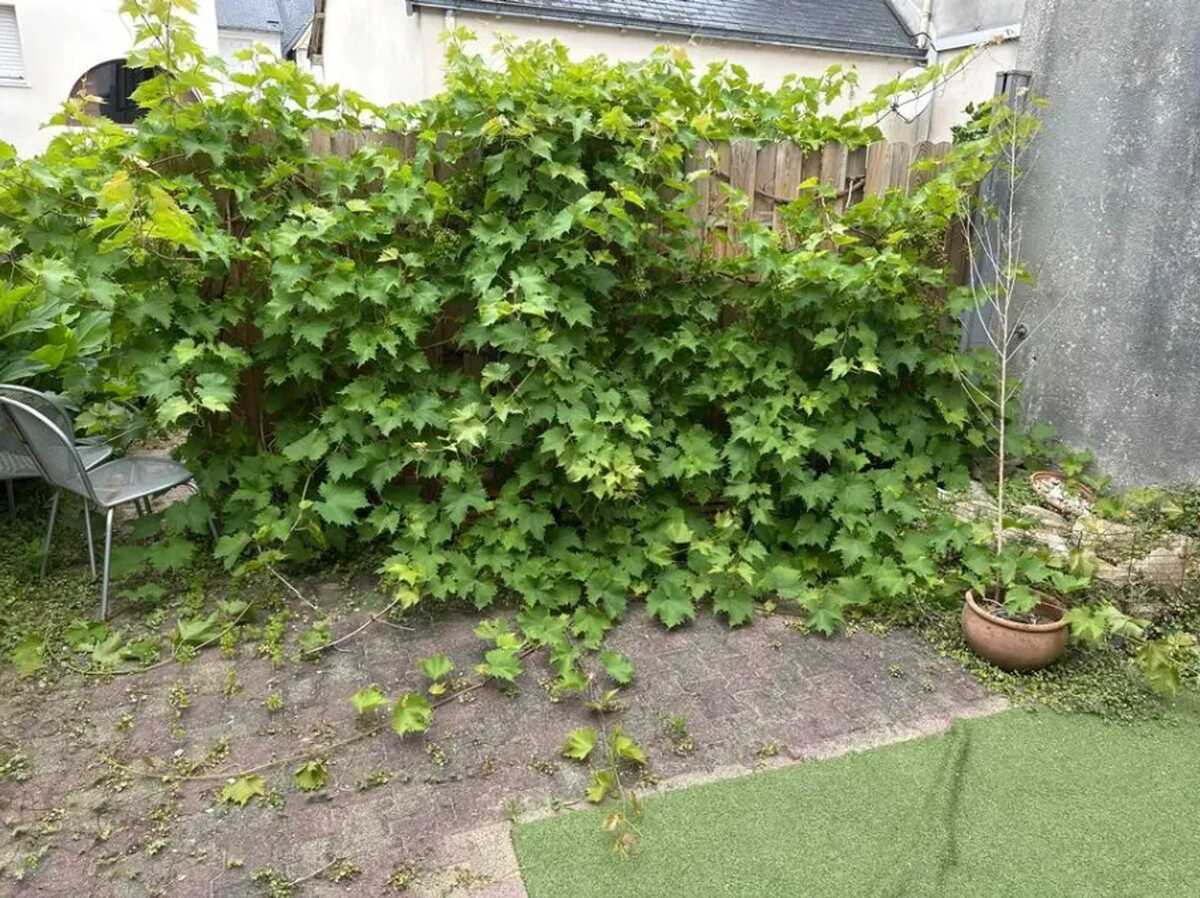 Appartement 45 m² avec jardin privé à Quiberon - Photo 11