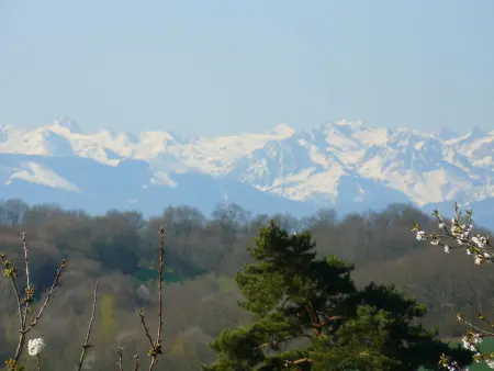 Maison plain-pied avec vue lac et montagne à Monlaur-Bernet : photo 27