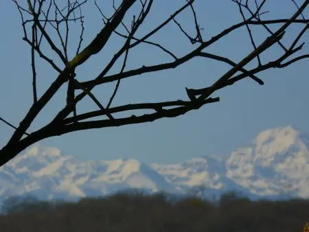 Maison plain-pied avec vue lac et montagne à Monlaur-Bernet : photo 32