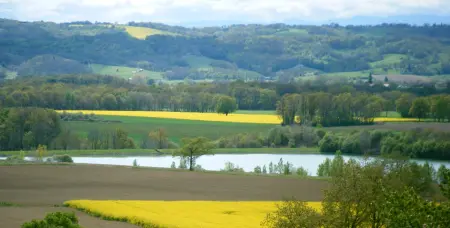Maison plain-pied avec vue lac et montagne à Monlaur-Bernet : photo 33