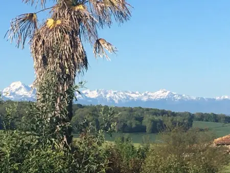 Maison plain-pied avec vue lac et montagne à Monlaur-Bernet : photo 37