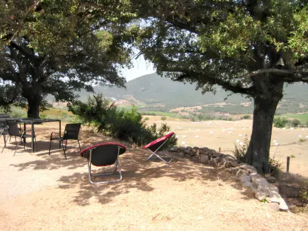 Maison avec jacuzzi, vue montagne et jardin à Sartène : photo 13