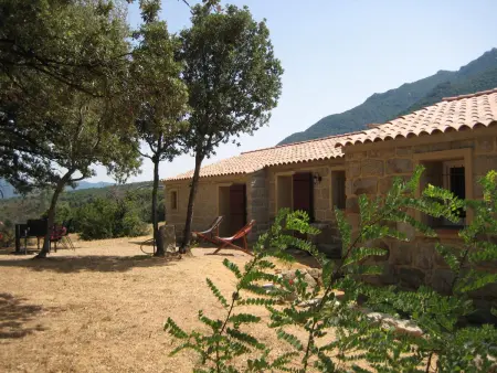 Maison avec jacuzzi, vue montagne et jardin à Sartène : photo 14