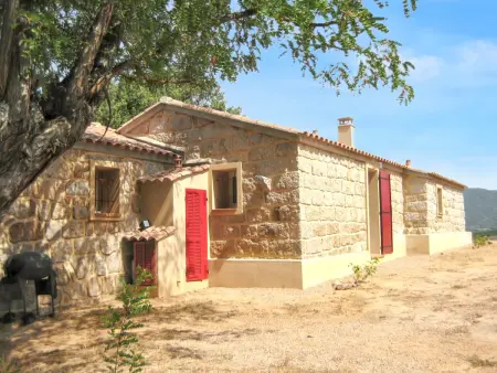 Maison avec jacuzzi, vue montagne et jardin à Sartène : photo 15