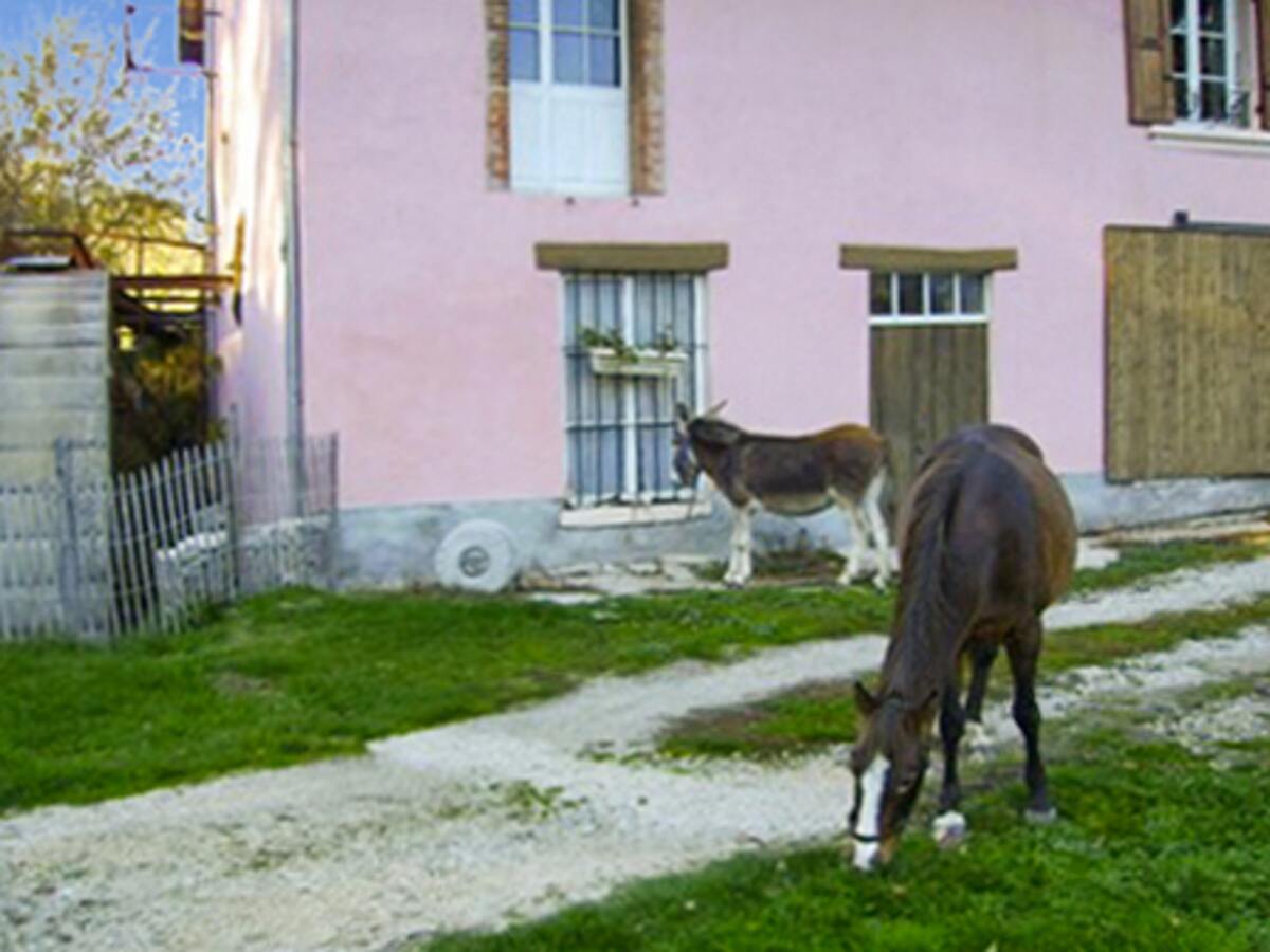 Maison 6 personnes à Chirens, jardin clôturé et terrasse - Photo 19