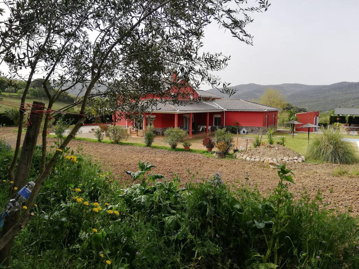 Villa 16 pers., 5 chambres, piscine privée à Ubrique - Photo 24