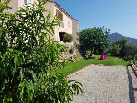 Maison avec jardin clôturé et vue montagne à Propriano : photo 8