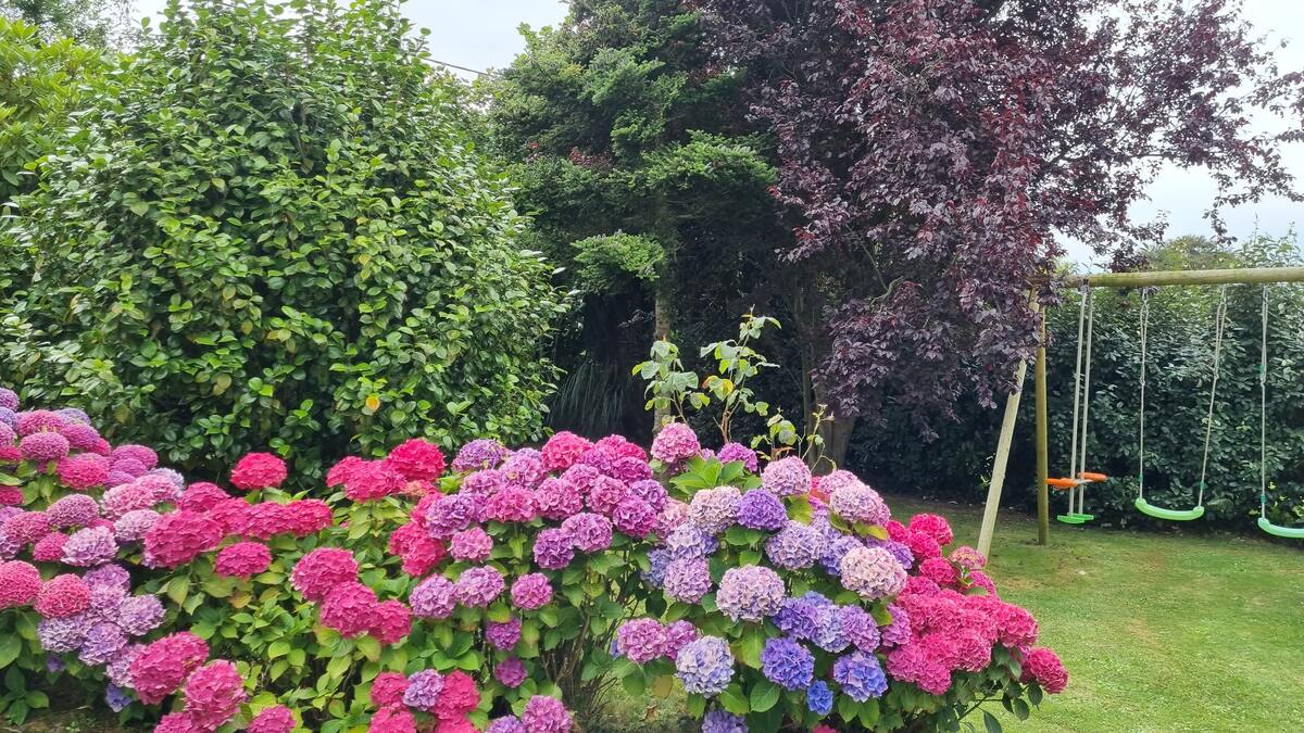 Maison 8 personnes à Trégomeur, jardin avec balançoire - Photo 17