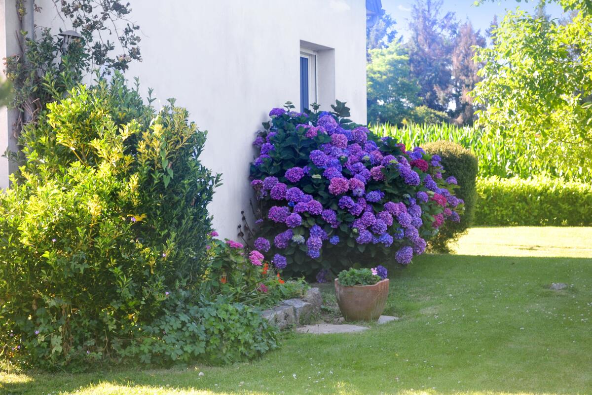Maison 8 personnes à Trégomeur, jardin avec balançoire - Photo 19
