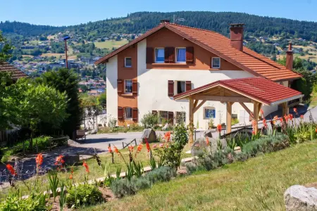 Studio 35 m² vue lac et montagne à Gérardmer avec terrasse : photo 11