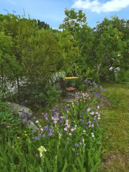 Studio 35 m² vue lac et montagne à Gérardmer avec terrasse : photo 15