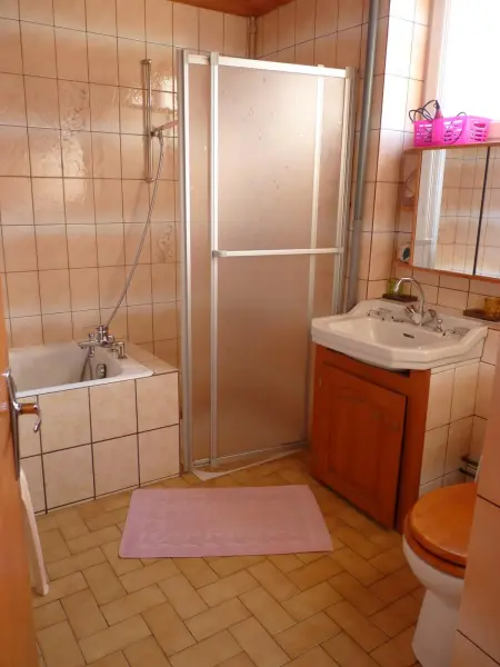 Studio 35 m² vue lac et montagne à Gérardmer avec terrasse : photo 23